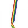 Pride Satin Sash - Rainbow