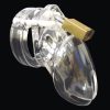 CB-6000S Male Chastity Device 2.5 inches Cock Cage and Lock Set Clear