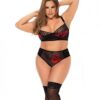 Underwire Bra Top & High Waisted Bottom Black 1x/2x