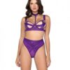 Bondage Stripe Demi Cup Underwire Bra & Panty Purple Lg