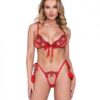 Holiday Rouge Bow Metallic Embroidered Bralette & Thong W/pom Pom Detail Red Lg