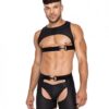 Master Harness W/hook & Ring Closure Black Sm