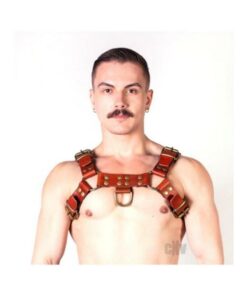 Prowler Red Butch Harness Brn/brs Xl