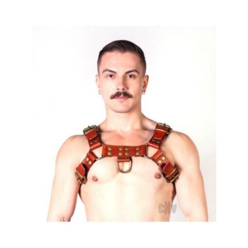 Prowler Red Butch Harness Brn/brs Xl