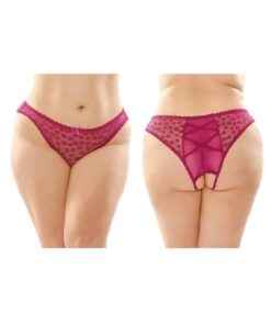 Daisy Crotchless Lace And Mesh Panty With Criss-cross Panel Back 6-pack Q/s Berry
