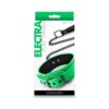 Electra Collar & Leash Green