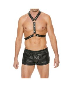 Premium Leather Harness With Metal Snaps Black