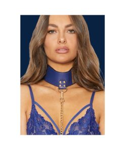 Ouch Collar With Leash Sailor Theme Blue