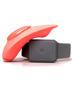 The Companion Remote Control Panty Vibe