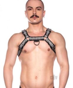 Prowler Red Bull Harness Grey Lg