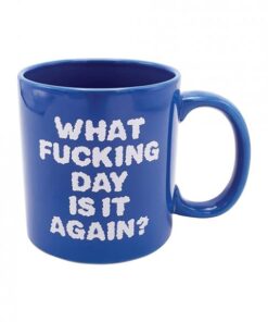 Attitude Mug What Fucking Day Is It Again - 22oz
