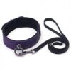 Spartacus Galaxy Legend Collar & Leash Purple