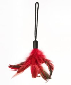 Pleasure Feather Tickler