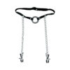 Fetish Fantasy Limited Edition O-Ring Gag & Nipple Clamps