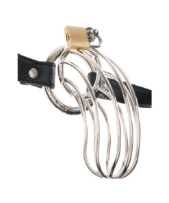 Fetish Fantasy The Prisoner Black Cock Cage