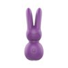 Femmefunn Buddies Stubby 2 Massager