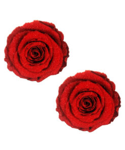 Neva Nude Pasties Enchanted Red Rose Glitter Velvet