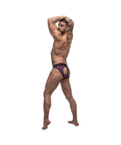 Male Power Airotic Mesh Butt Out Bikini Ppl Medium