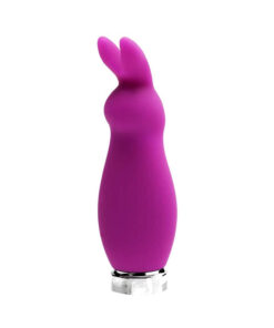 Crazzy Bunny Mini Vibe
