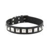 Leather Collar 1 Inch With Assorted Studs