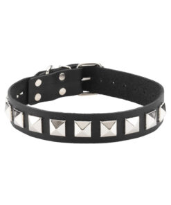 Leather Collar 1 Inch With Assorted Studs