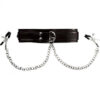 Sportsheets Collar With Nipple Clamps