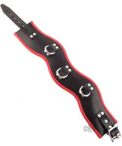 Rouge Leather Posture Collar 3 Ring Black Red