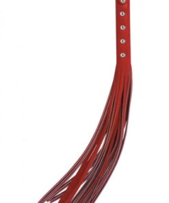 Red 20in Strap Whip