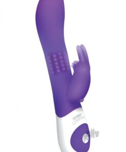 The Beaded Rabbit Vibrator