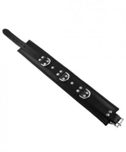 Rouge Padded Leather 3 D-Ring Collar Black