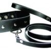 Sportsheets Leather Leash and Collar