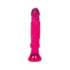 Vivid Essentials Anal Starter