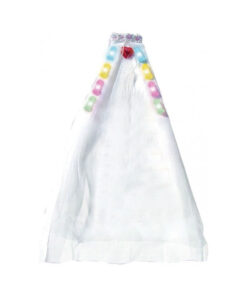 Bachelorette Party Veil