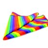 Gaysentials Rainbow Bandana