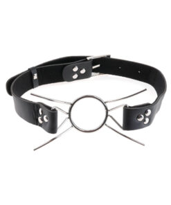 Fetish Fantasy Extreme Spider Gag O/S