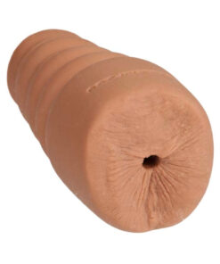 Noches Latinas Ur3 Palm Pal Ass