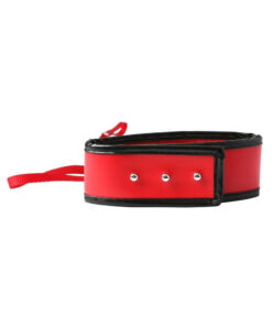 Sex & Mischief Red Leash and Collar