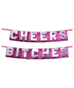 Bachelorette Party Favors "cheers Bitches" Party Banner