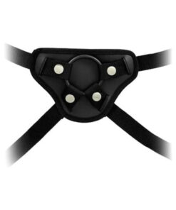 Harness The Revolution