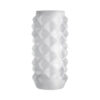 Optimale Reversible Stroker Studs Frost Clear