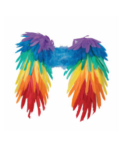 Rainbow Feather Wings