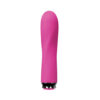 Luxe Compact Rechargeable Vibe Scarlet