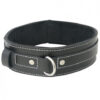 Edge Lined Leather Collar Black O/S