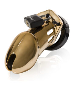 CB-6000 Male Chastity