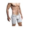 Male Basics Spider Hipster Boxer Brief White/black Sm