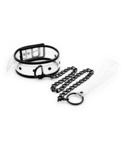 Ple'sur Pvc Contrast-piping D-ring Collar & Leash Clear/black