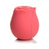 Gossip Rose Crave Pink