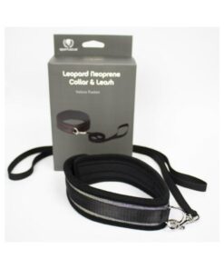 Spartacus Collar And Leash Neoprene Silver