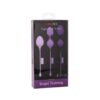 Kegel Training 3pc Set Purple
