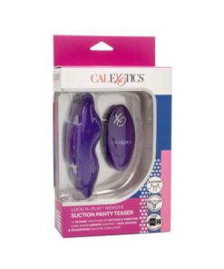 Lock N Play Remote Suction Panty Purple